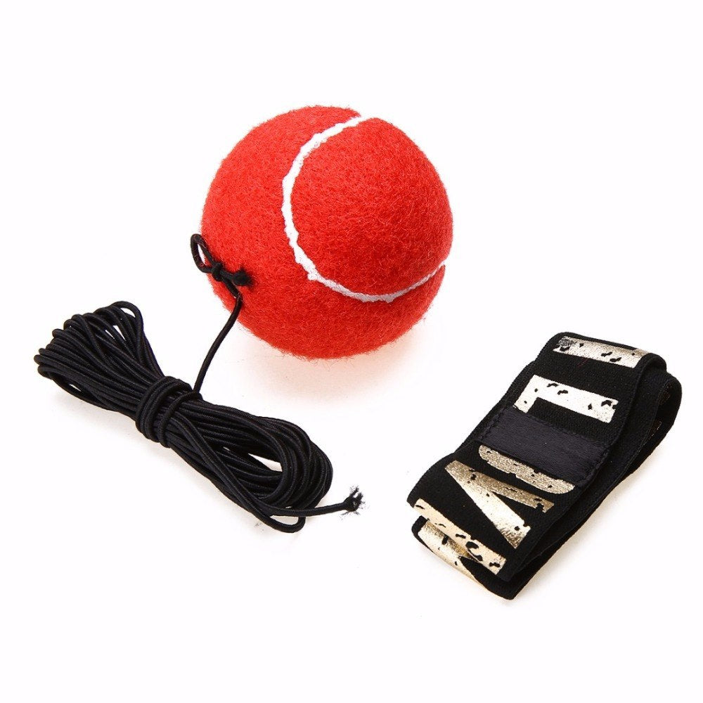 Boxing Reflex Punch Ball