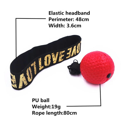 Boxing Reflex Punch Ball